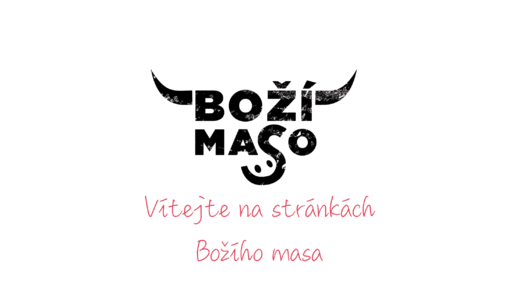 BM logo bez poz lepší kvalita.png